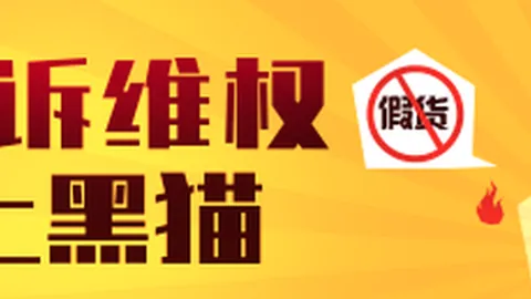 2026版财政攻略：精准实施积极财政政策秘诀